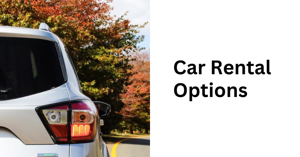 A Guide to Choosing the Right Rental Car Options for Your Needs